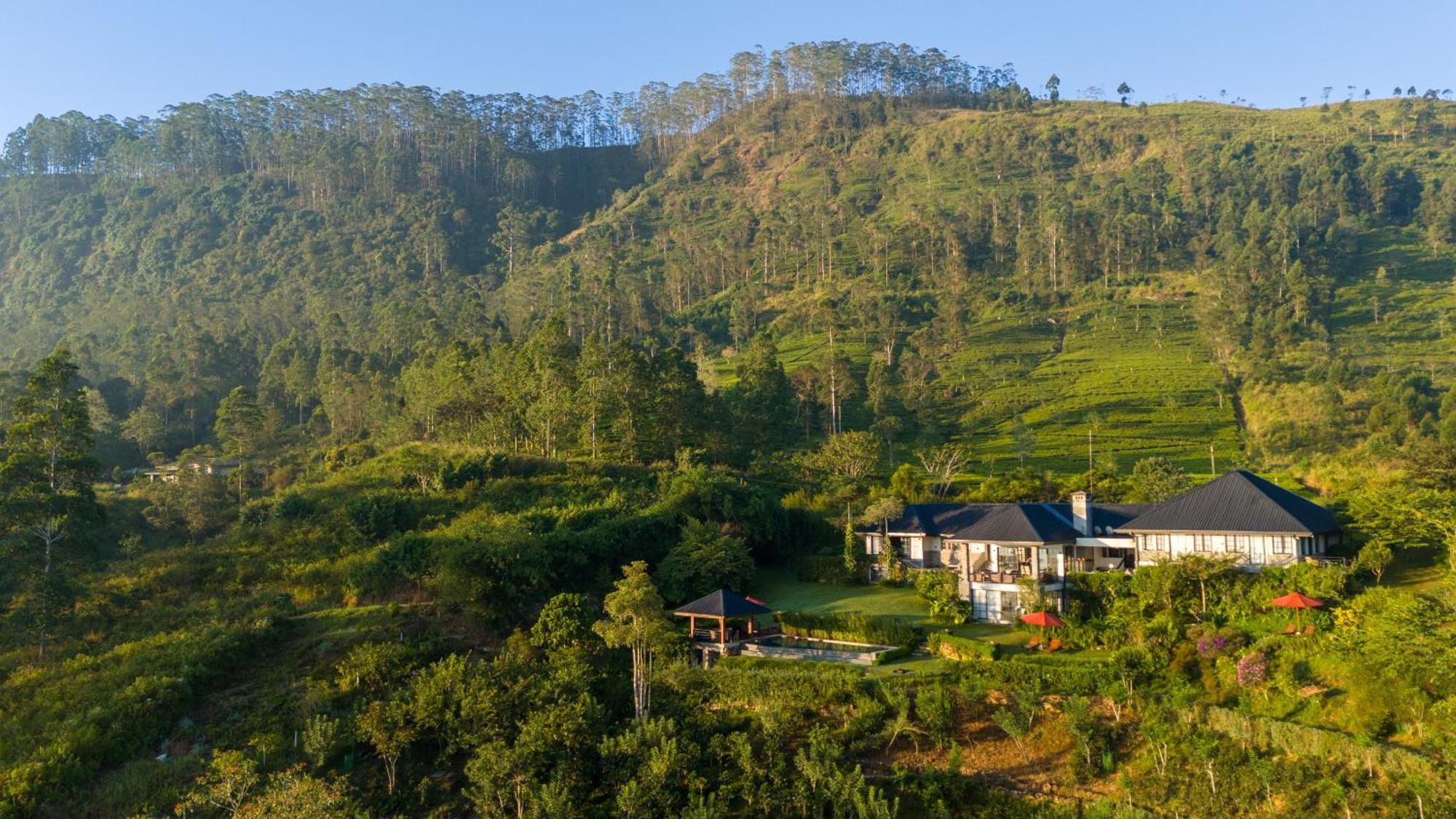 فندق Camellia Hills هاتون المظهر الخارجي الصورة