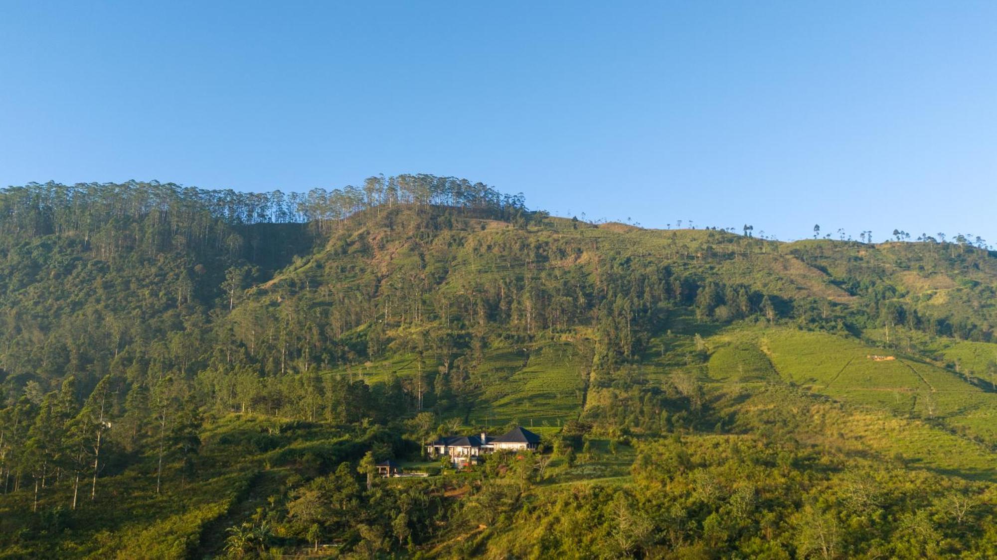 فندق Camellia Hills هاتون المظهر الخارجي الصورة