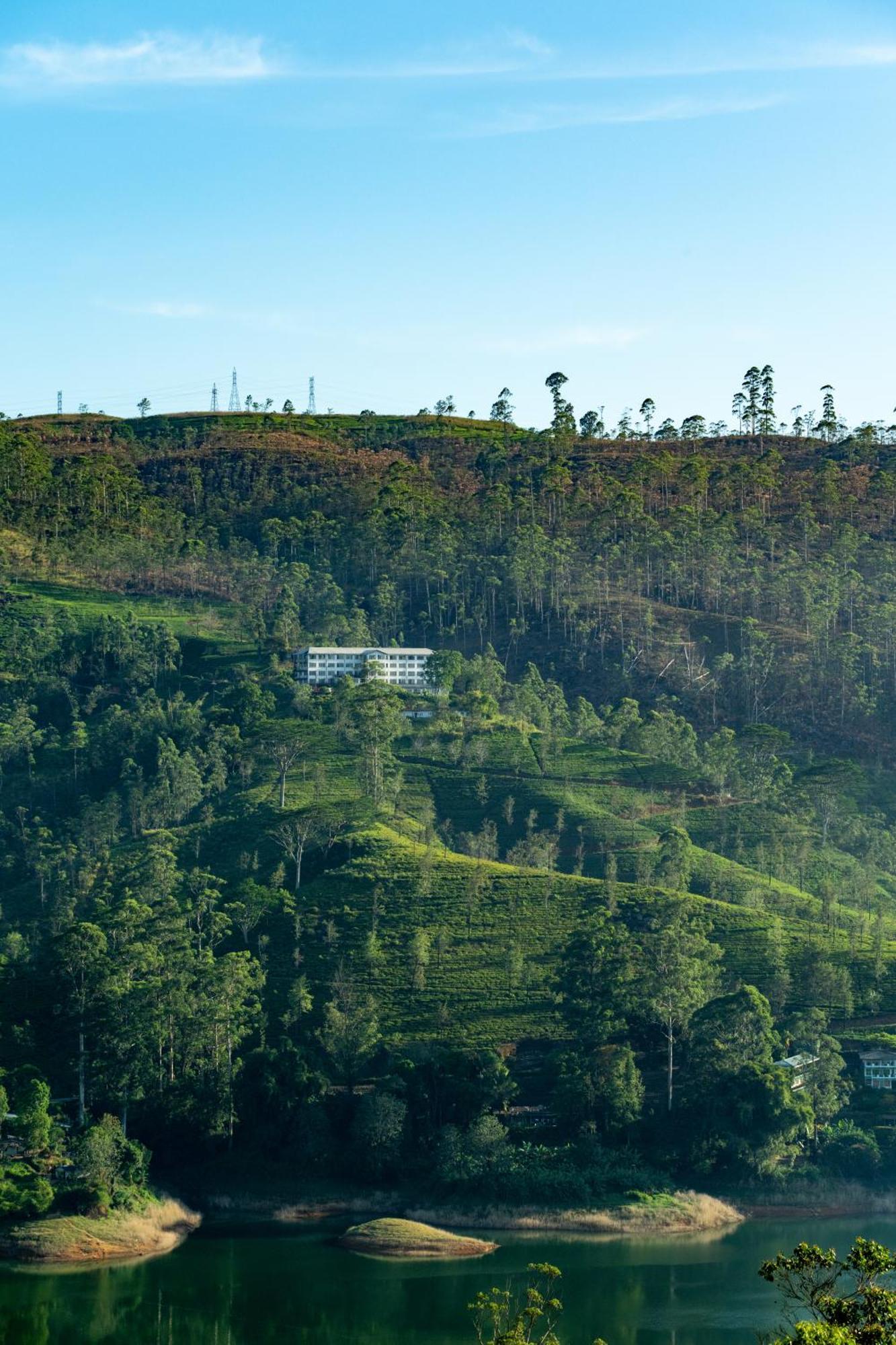 فندق Camellia Hills هاتون المظهر الخارجي الصورة